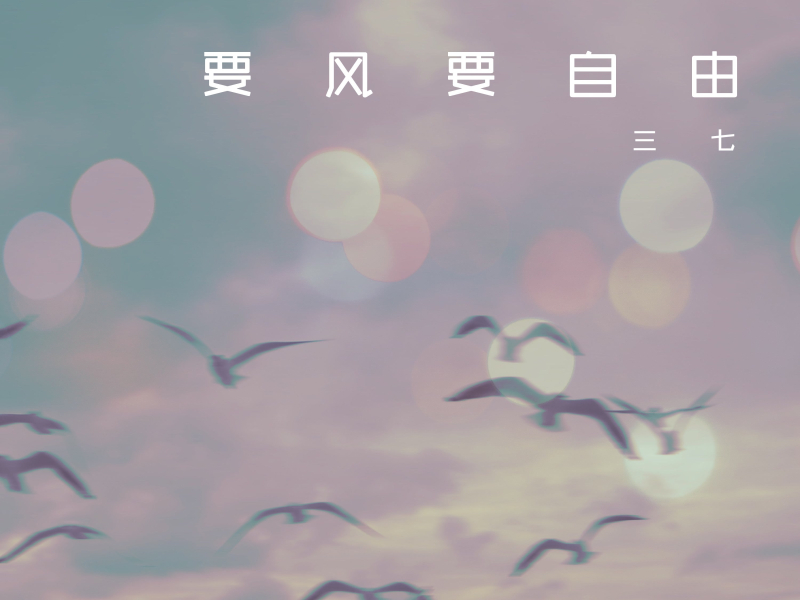 要风要自由 (Single)