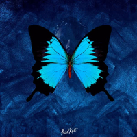 Close Enough (Single)