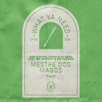 Mestre Dos Magos (Single)