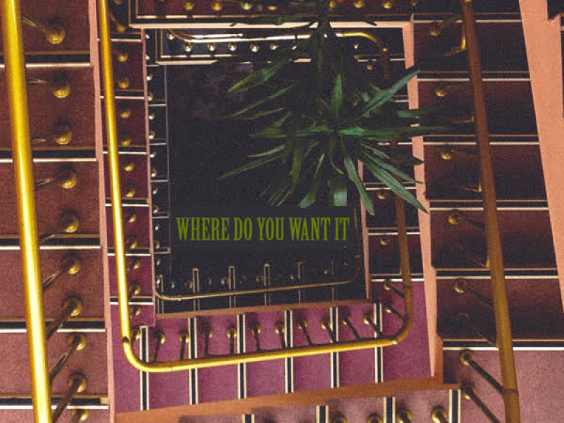 Where Do You Want It (Single)