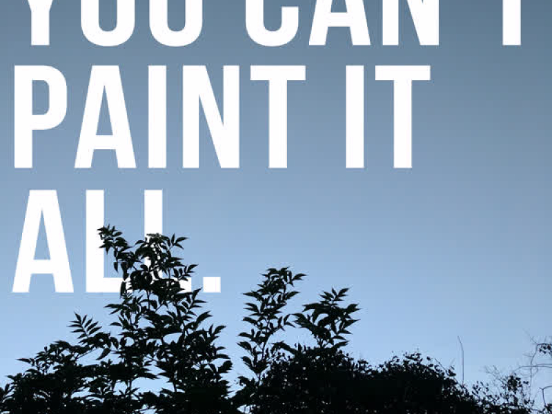 You Can't Paint It All (Single)