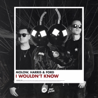 I Wouldn't Know (Single)