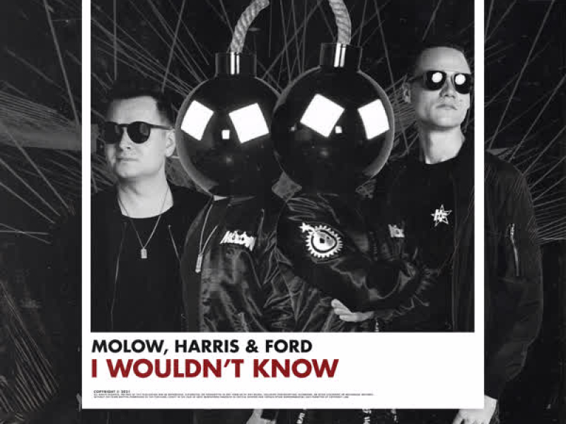 I Wouldn't Know (Single)