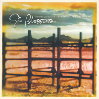 Outside Looking In: The Best Of The Gin Blossoms