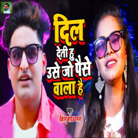 Dil Deti Hu Use Jo Paise Wala Hai (Single)