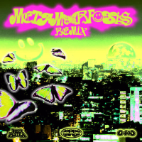 m e t a m o r f o s i s (remix) (Single)