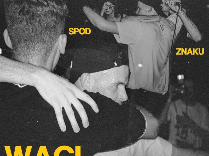 BLIŹNIAKI SPOD ZNAKU WAGI (Single)