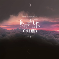 真的不快乐 (DJ版) (Single)
