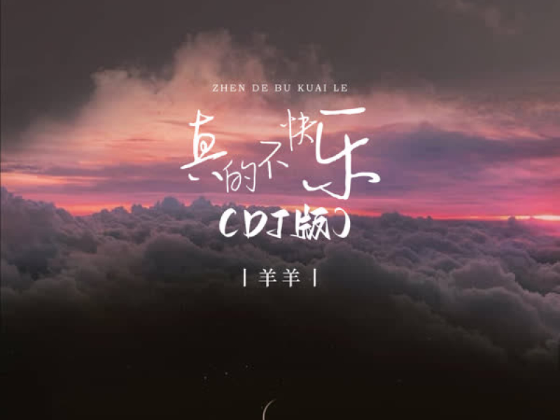 真的不快乐 (DJ版) (Single)