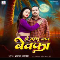 Ho Gailu Jaan Bewafa (Single)