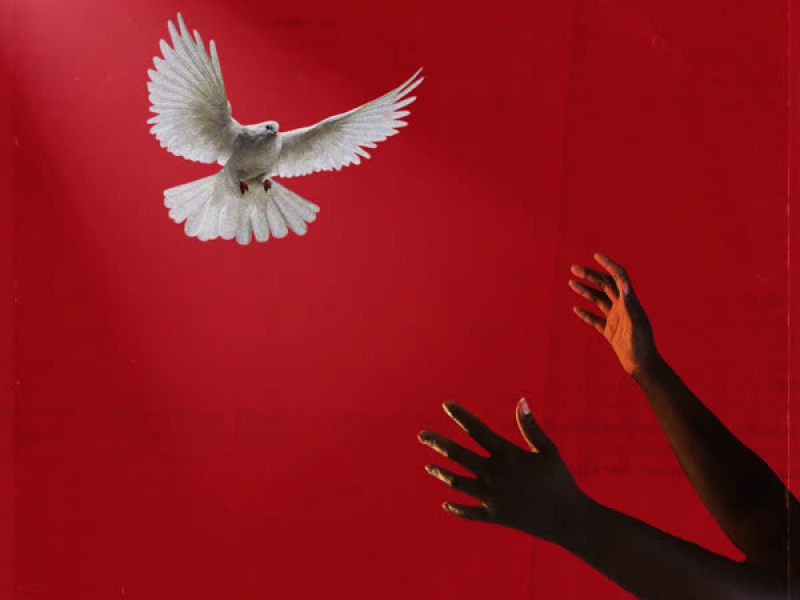 Bidding War (feat. Ransom) (Single)