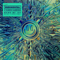 Bring Me Joy (Mr. Belt & Wezol Remix) (Single)