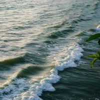 Bleeding Vision (Single)