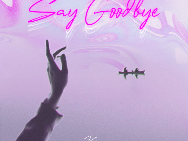 Say Goobye (Single)