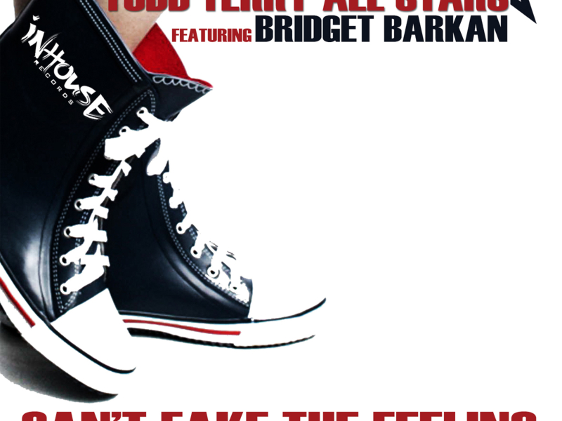 Can't Fake the Feeling (Dj E-Clyps MIX)