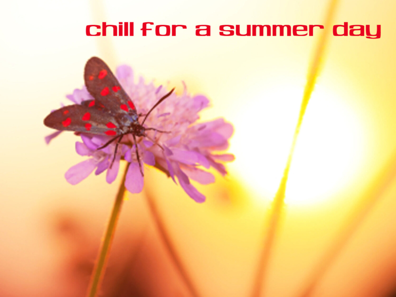 Chill For A Summer Day