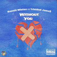 Without You (Single)