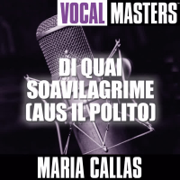 Vocal Masters: Di Quai Soavilagrime (Aus Il Polito)