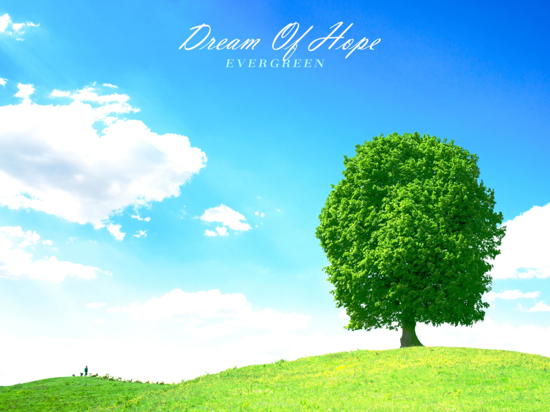 Dream Of Hope (Single)