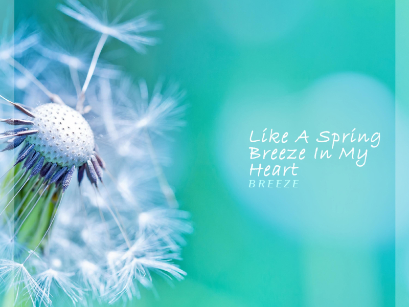 Like A Spring Breeze In My Heart (Single)