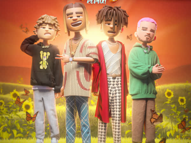 Mood (Remix) (Single)