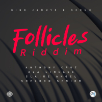 Follicles Riddim (EP)