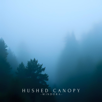Hushed Canopy (Single)