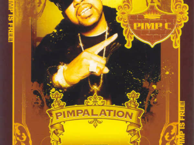 Pimpalation