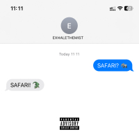 SAFARI (Single)