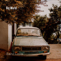 Big World (Single)