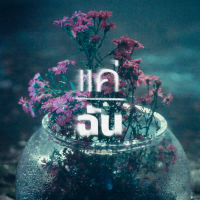 แค่ฉัน (Single)