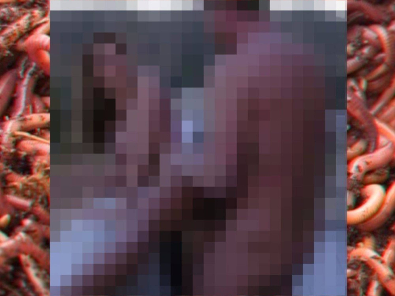 KILL YOURSELF Part V: The Fuck Bitches, Get Death Saga