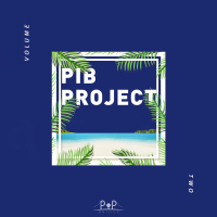PIB Project Vol.2 (Back 2 You) (Single)