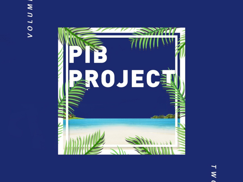 PIB Project Vol.2 (Back 2 You) (Single)