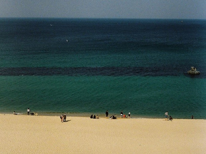 타동여지도 - 안목해변