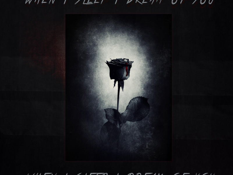 when I sleep I dream of you (Single)