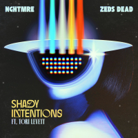 Shady Intentions (Single)