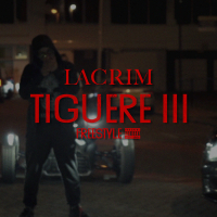 Tiguere 3 (Freestyle) (MV) (Single)