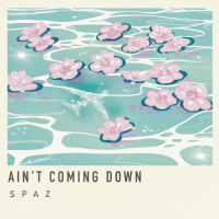 Ain't Coming Down (Single)