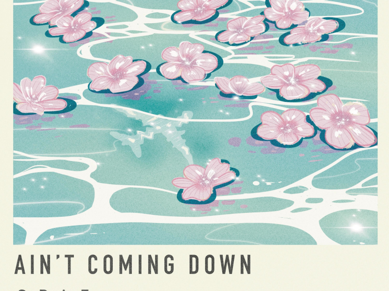 Ain't Coming Down (Single)