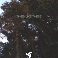 Times Like These (Single)