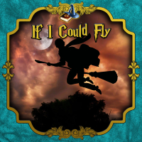 If I could fly
