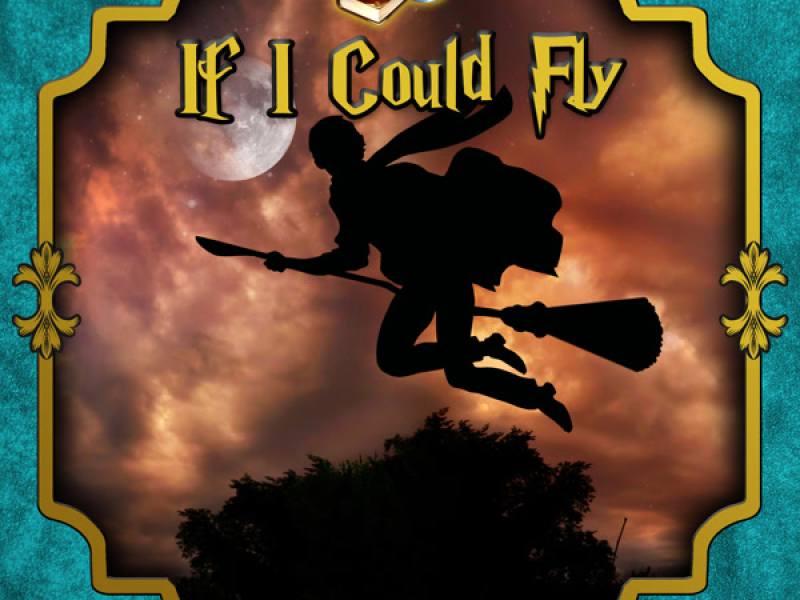 If I could fly