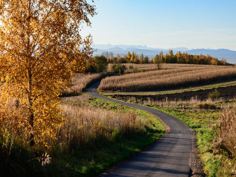 Peaceful May (Single)