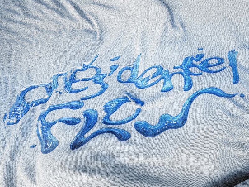 Présidentiel flow (Single)