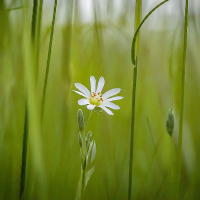 Its Just us (Single)