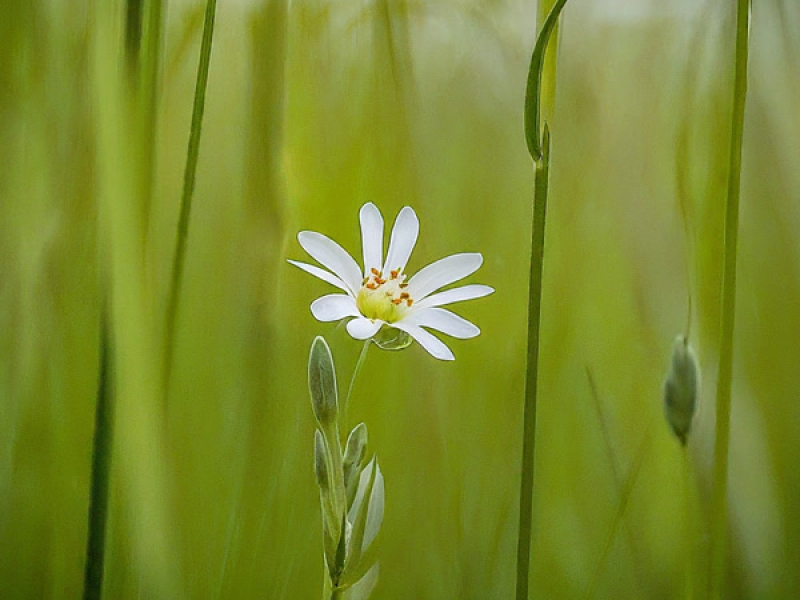 Its Just us (Single)