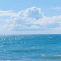 泪海 (弹唱版) (Single)