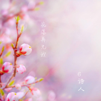 花落再无我 (Single)
