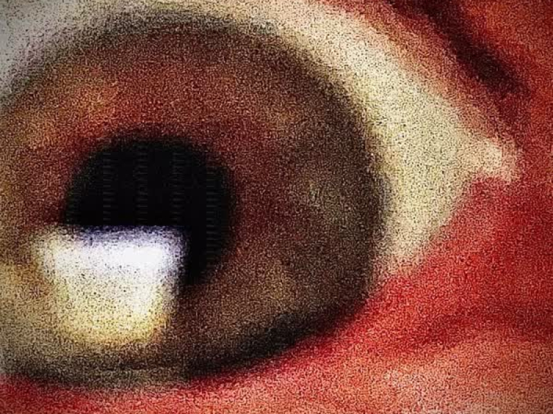 The Eye's Ballad (Single)